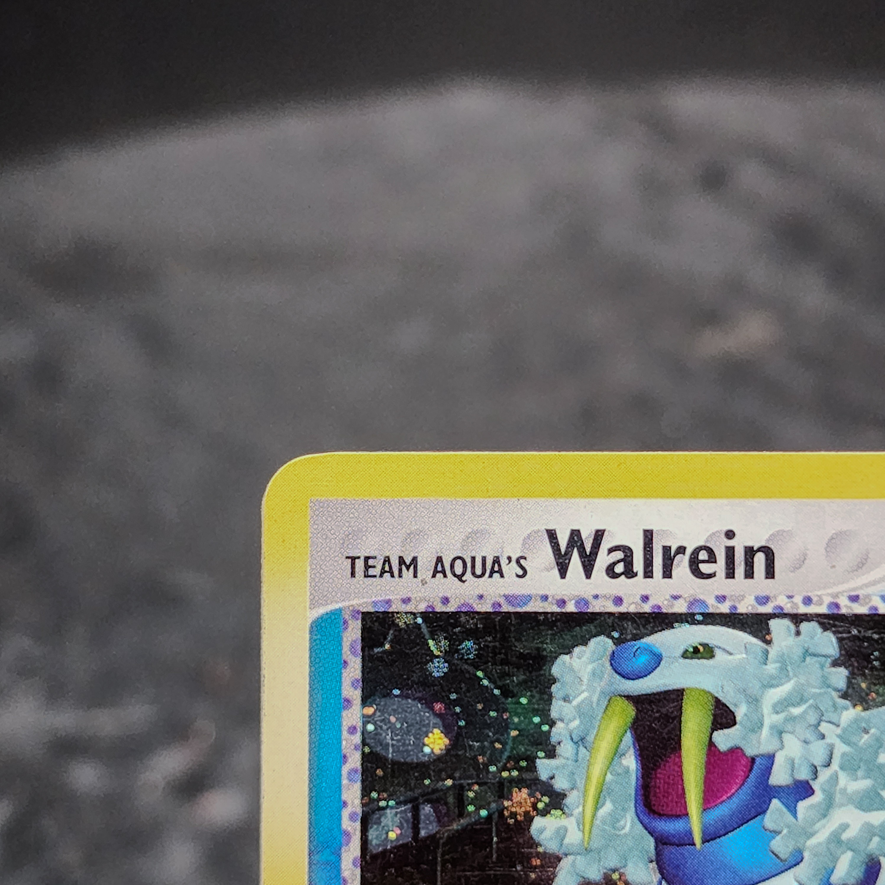 Team Aqua's Walrein Holo Rare 6/95 EX Team Magma vs Aqua Pokemon Card LP 💧 - Picture 2 of 7