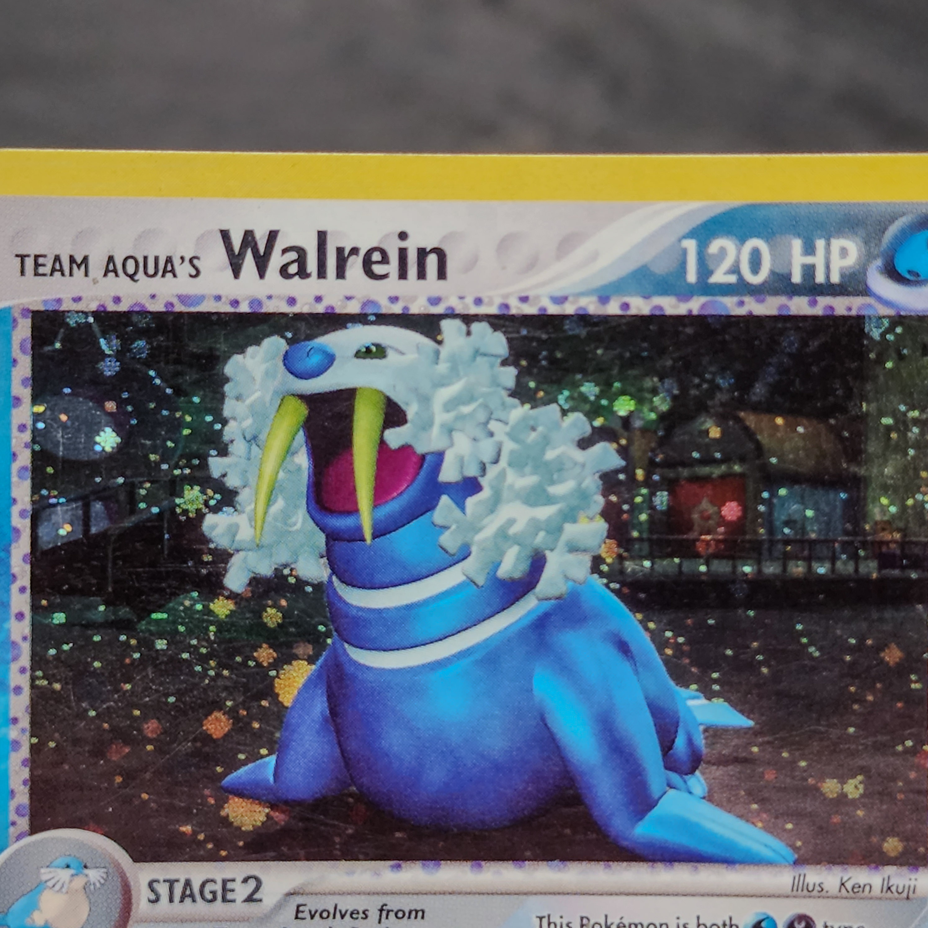 Team Aqua's Walrein Holo Rare 6/95 EX Team Magma vs Aqua Pokemon Card LP 💧 - Picture 6 of 7